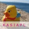 Kaczka gif
