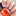 Xs img 8147a