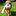 Xs img 1441807395138 v