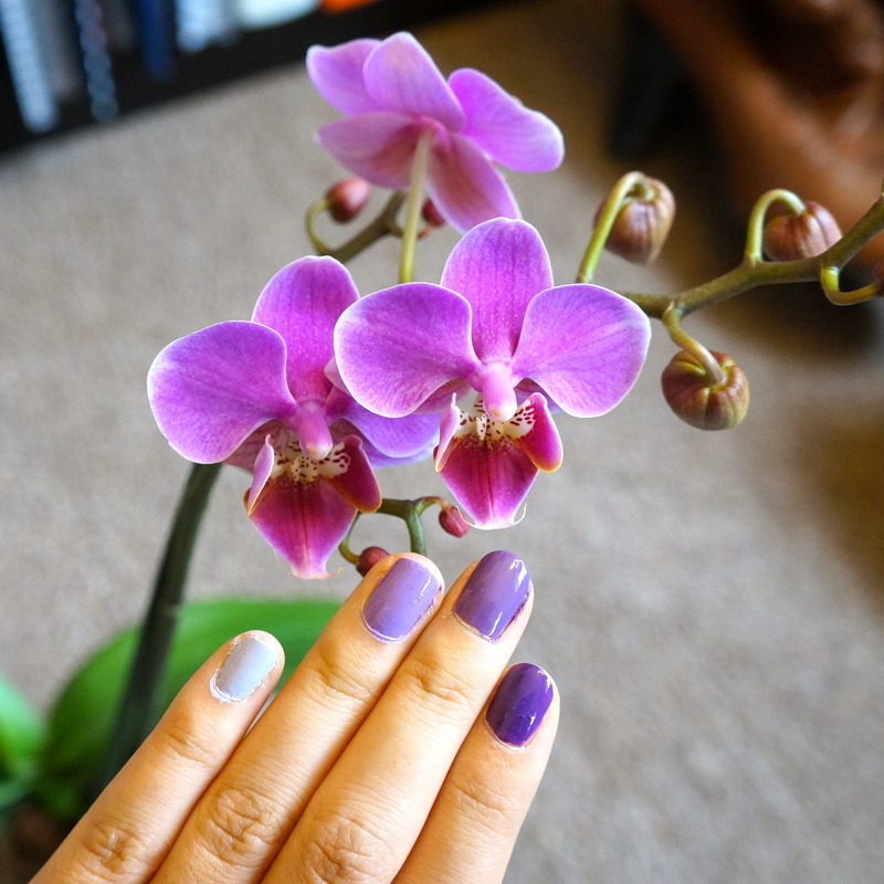 Radiant orchid ombre nail art by Lynn Nailpolis Museum